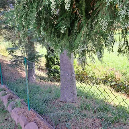 In Der Gruenheck * Erlenbach (Rhineland-Palatinate)