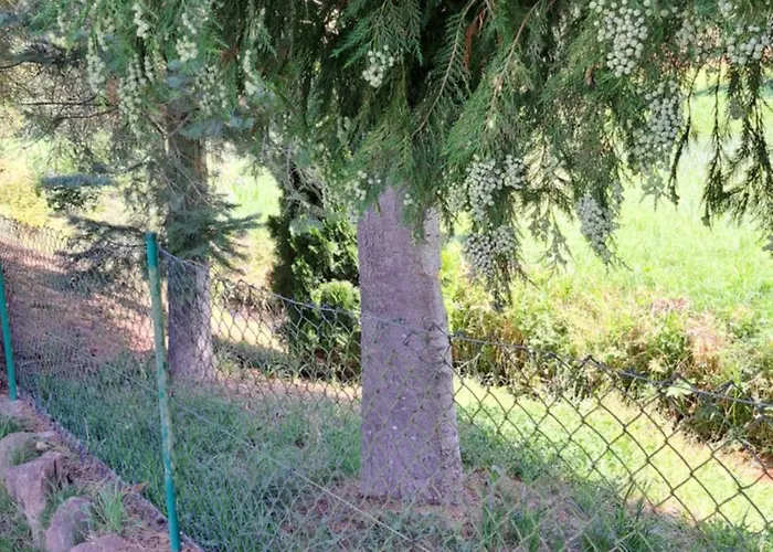 In Der Gruenheck * Erlenbach (Rhineland-Palatinate)