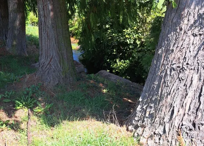 Apartamento In Der Gruenheck